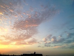 1410032.JPG