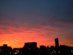 141010.jpg