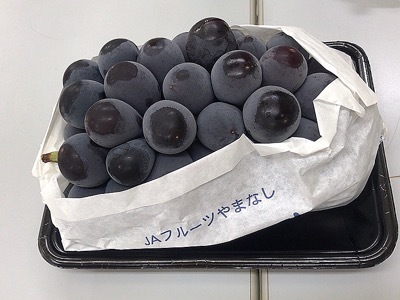 17090405.JPG
