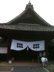 IMG_3872.jpg