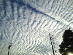 IMG_9987.jpg